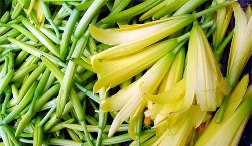 好食物吃出好身体，推荐3种食物，延缓衰老，保护眼睛，好吃不贵