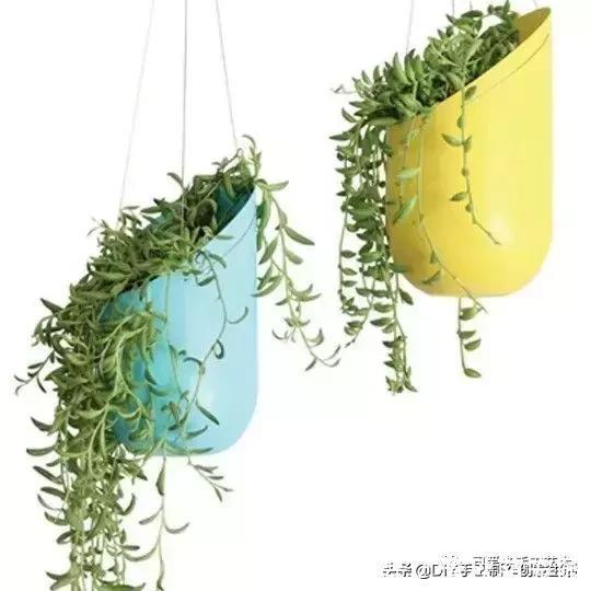 下次再有饮料瓶千万不要丢,看完这个你就明白了,附教程