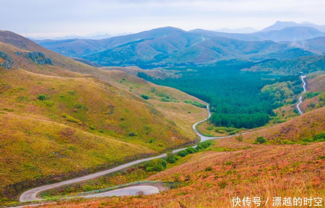 中国又迎来一条新天路，草原与森林的完美结合，堪称世外桃源！
