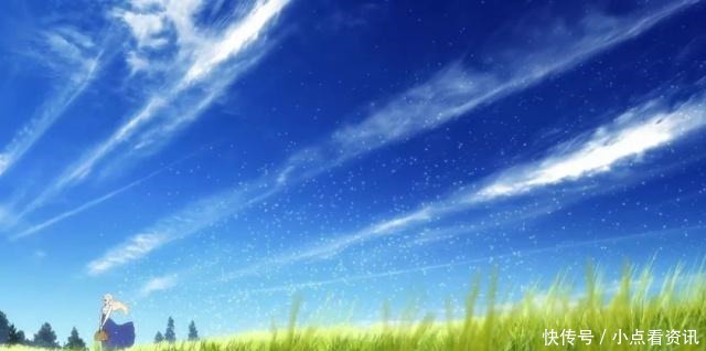 动画|一包纸巾都不够!这部奥斯卡入围动画让人泪腺崩坏