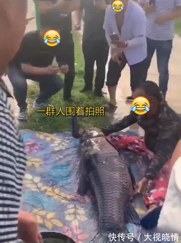 云龙湖|身形跟人一样长!江苏176斤大鱼又上钩了,钓鱼人:年年都要被钓上岸