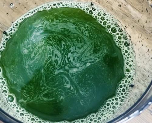 黄瓜的新做法,只需要用筷子搅一搅,拌一拌,比凉皮还好吃