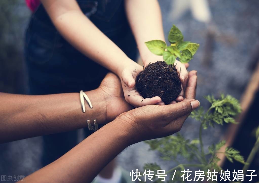 绿植|新手养花常犯的6大忌,占到4条以上就养不好花,不要犯这些错误