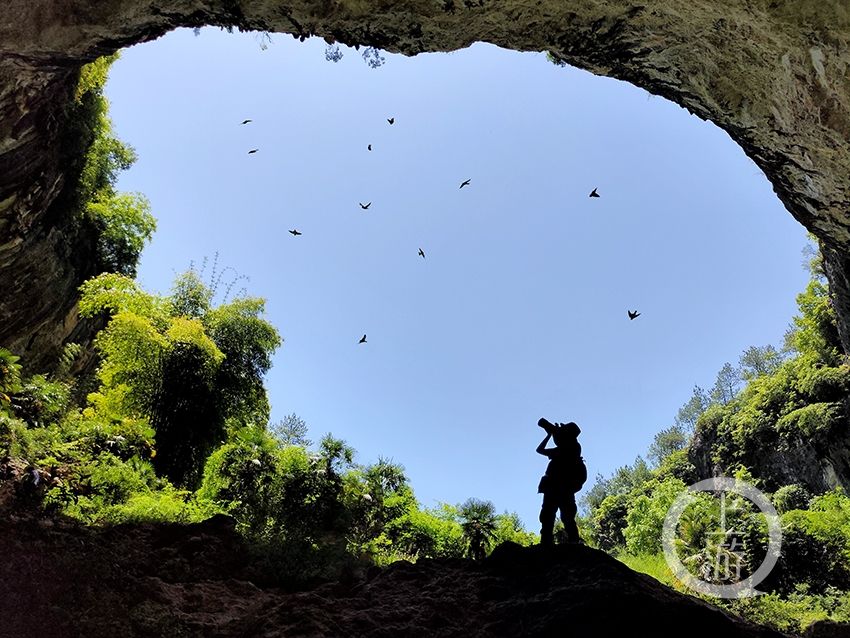 来一场“地心之旅” 小三峡天坑探秘