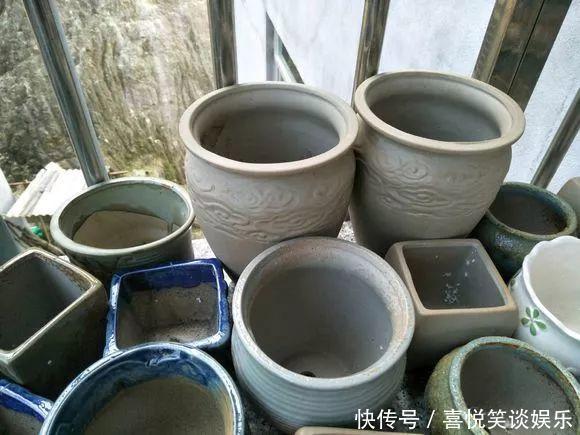  几十个高价花盆，被扔在垃圾桶旁，捡还是不捡？