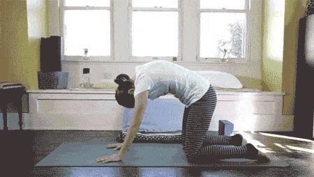 瑜伽体式|想要塑造完美身姿缓解日常生活压力,那就来试试这3组瑜伽体式吧