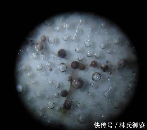 宋代五大名窑,你还是官窑、哥窑不分?