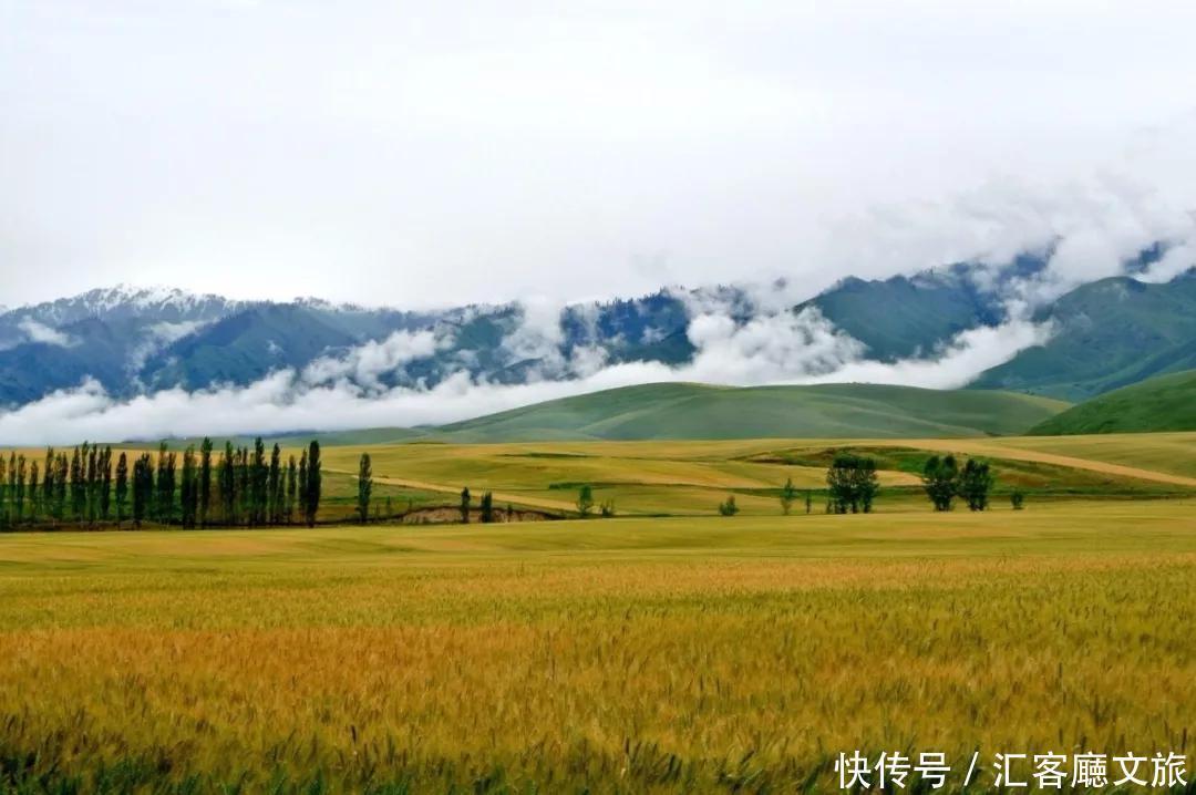 草原|这3个旅行地，今年夏天一定要去自驾一次！