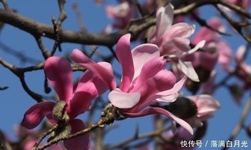 财路|出生在这些吉日的女人，谁能娶她们回家，财路大开，日子越来越富