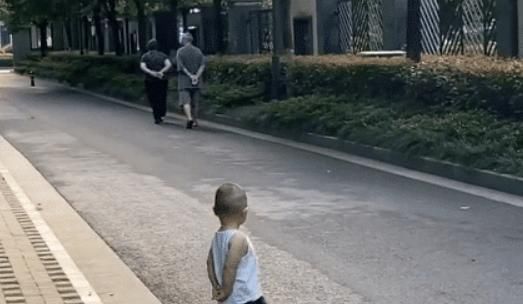 lulu|“老干部宝宝”出门溜达,背着手屁颠屁颠跟在后面,模仿到了精髓