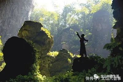 文山州这里有个岩蜂洞,神奇的天然“草药铺”