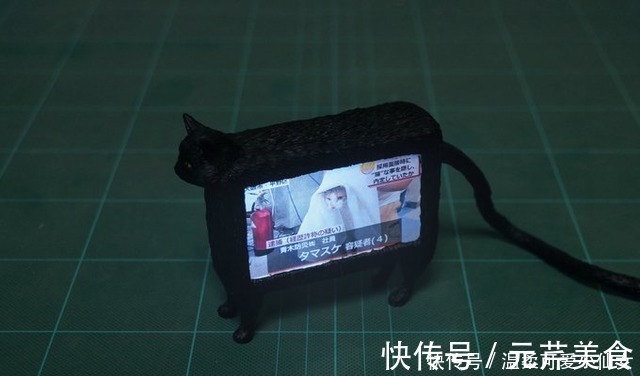 日本|哈哈哈!听说又有沙雕猫被日本手办大佬盯上了!