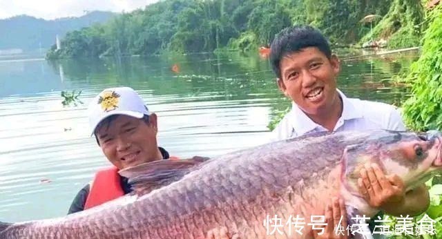 细聊钓鱼圈隐藏的六种虚假渔获!揭开它背后的真实目的