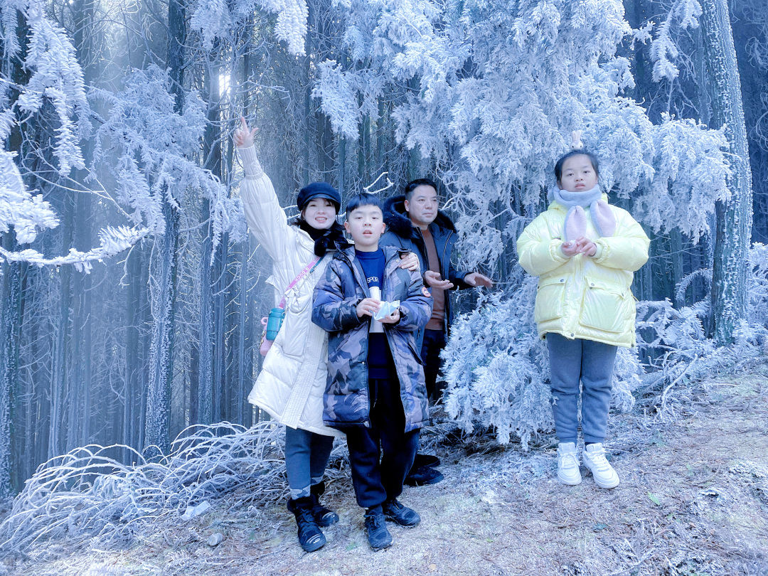 雾凇|景宁敕木山顶雾凇美 新年登高步步高