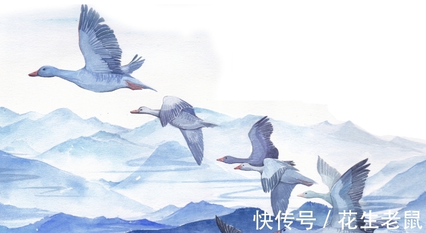 圆寂&他与六祖惠能4问4答,终成为一代宗师,圆寂时1000只大雁护驾西归