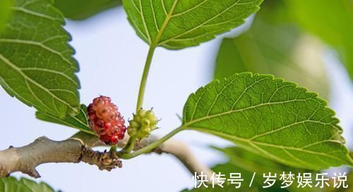 通便|便秘吃什么可以缓解？6种食物多吃点，润肠通便，赶走老便秘！