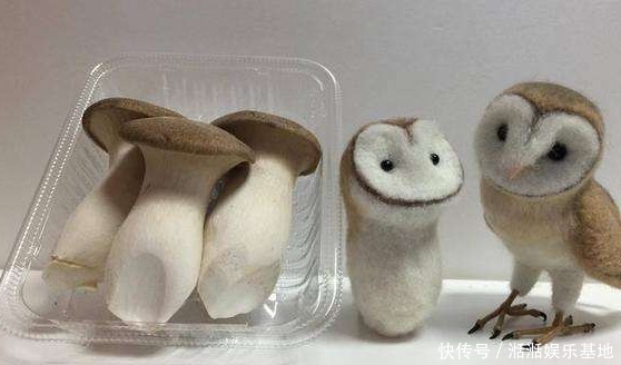 买杏鲍菇时，该挑大的还是小的菜贩子透露，今后别再乱买了