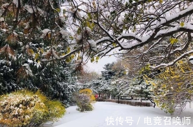 李清照$初冬、咏雪、寿楼春等诗词十二首