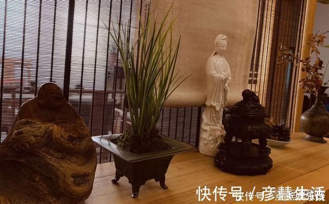 寻南溪常山道人隐居|刘长卿很有禅意的一首诗,入选《唐诗三百首》,适合心烦意乱时读