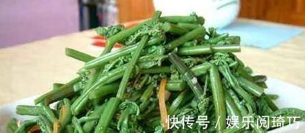 山野菜|农村人爱吃以下山野菜,是名贵中草药!专家:早看早知道