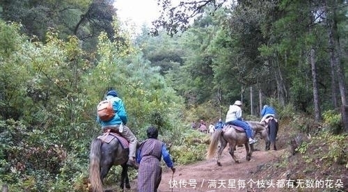 最贵|不丹最贵的佛寺建在悬崖之上，估值百亿美金每年却只开放一次