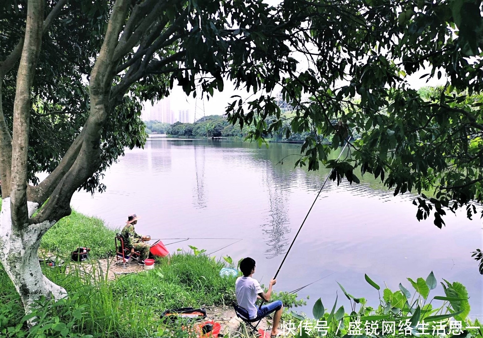 夏季|夏季野钓,突然无鱼口,不是钓技不好,原来是这几种因素