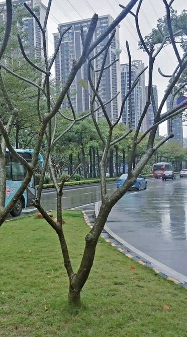 山药|?雨水时节如何养生？专家建议防寒养肝除湿最重要