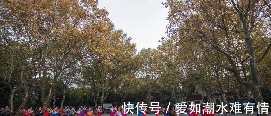 高能天团|楼市一线丨阳光城梦想单曲&高能天团重磅曝光?有点东西!
