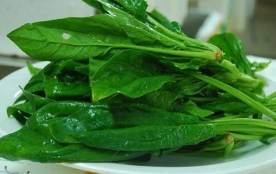 补脾益气|会吃的人更健康，3种食物离不开，补脾益气，清热排毒，好吃不贵