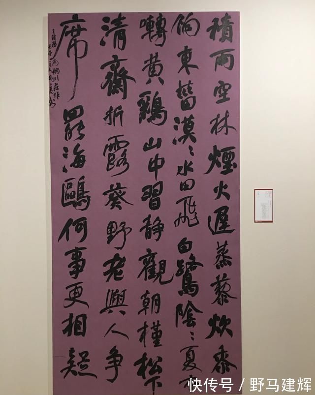 国展$“烧鸡体”看起来“丑丑”的,在国展中大受欢迎,他连入三届国展