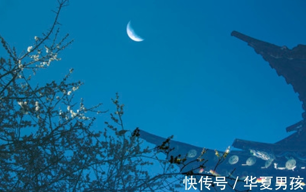 宋词三百首$李清照、严羽等人为何看不上苏轼,甚至认为他导致了诗词的没落