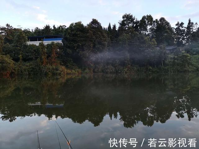 垂钓|某些钓鱼人,请你自觉点,这些不齿之事难登大雅之堂,别再丢脸了