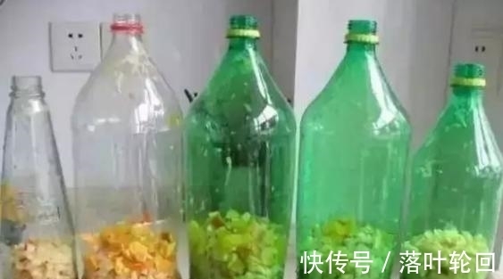 小苏打养花的3大好处,改良土壤、除臭、延长花期,你全懂吗?