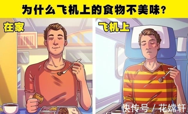 降落|飞机上的窗户为什么是圆形的?飞机上的奇妙冷知识你知道几个?