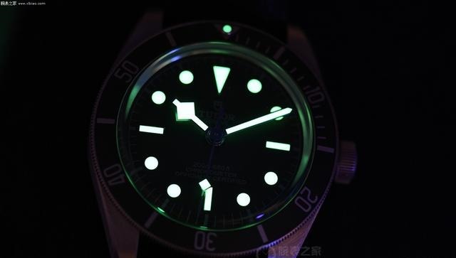 贵金属#雪花针遇上雪花银 品鉴帝舵碧湾1958型925腕表!