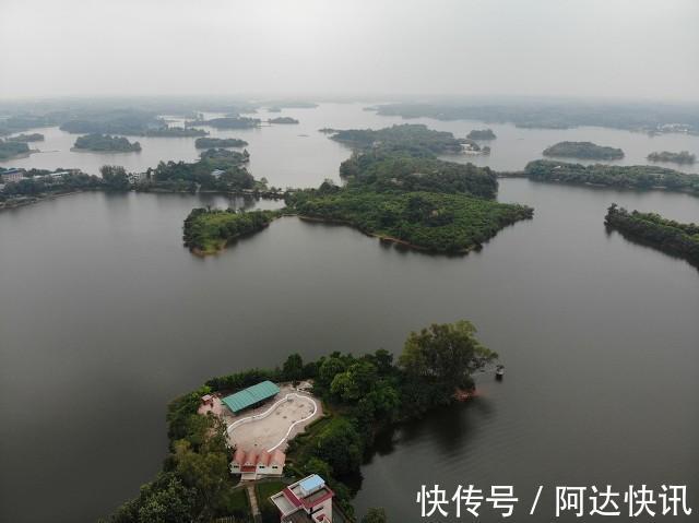 钓友|罕见!四川三岔湖“翘嘴鱼王”被人钓上岸,钓友反馈:抱不动啊