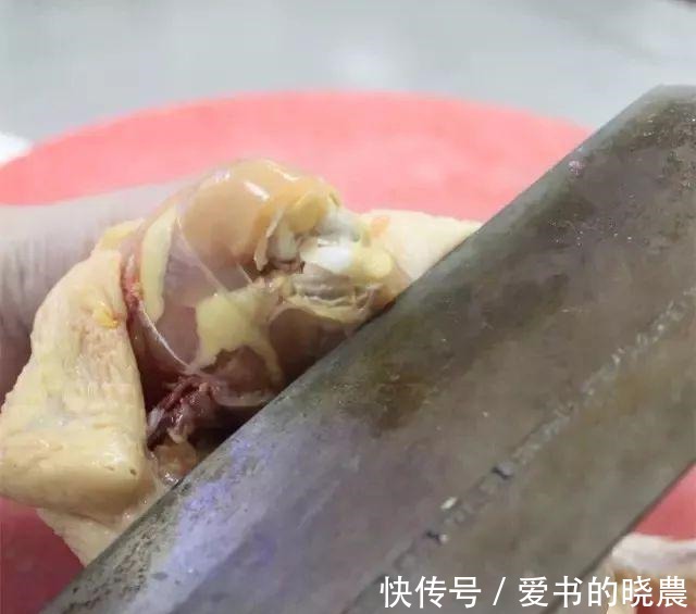 酒楼地方特色菜,热卖一整年!