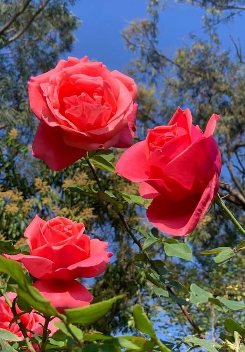 老年|喧嚣过后，一切归于平静