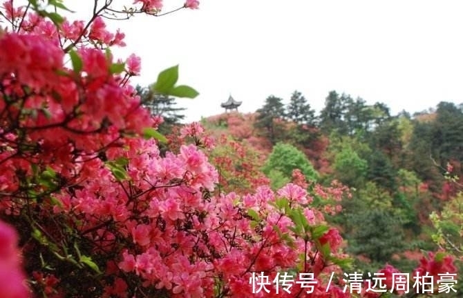 贺知章&史上五绝、七绝均臻化境的诗人只有他,这几首精妙五绝被严重低估