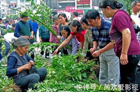 习俗|端午将至，什么时候割艾草好？割艾草前三后四最合适，啥意思？