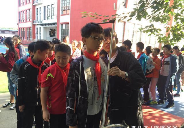 脾胃虚弱|秋季长高“加速器”公开，不是牛奶，孩子若坚持，身高或长7公分