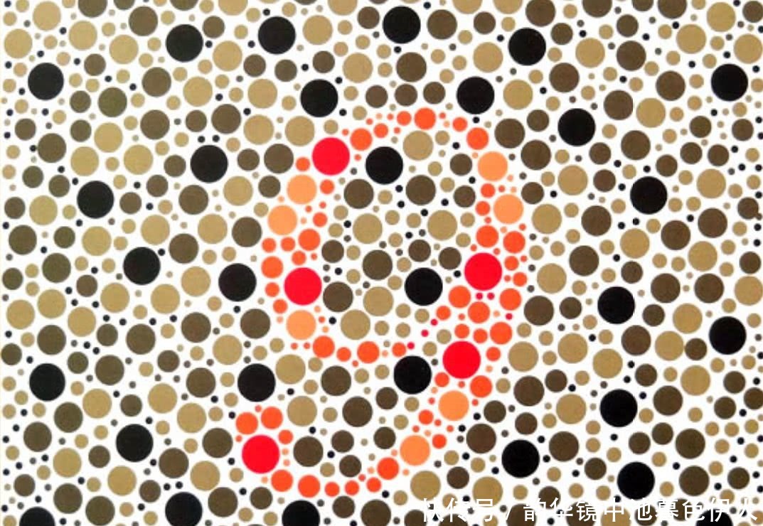 图片 色盲测试:第一张是飞机,最后一张的图案,“马虎”的人认不出!