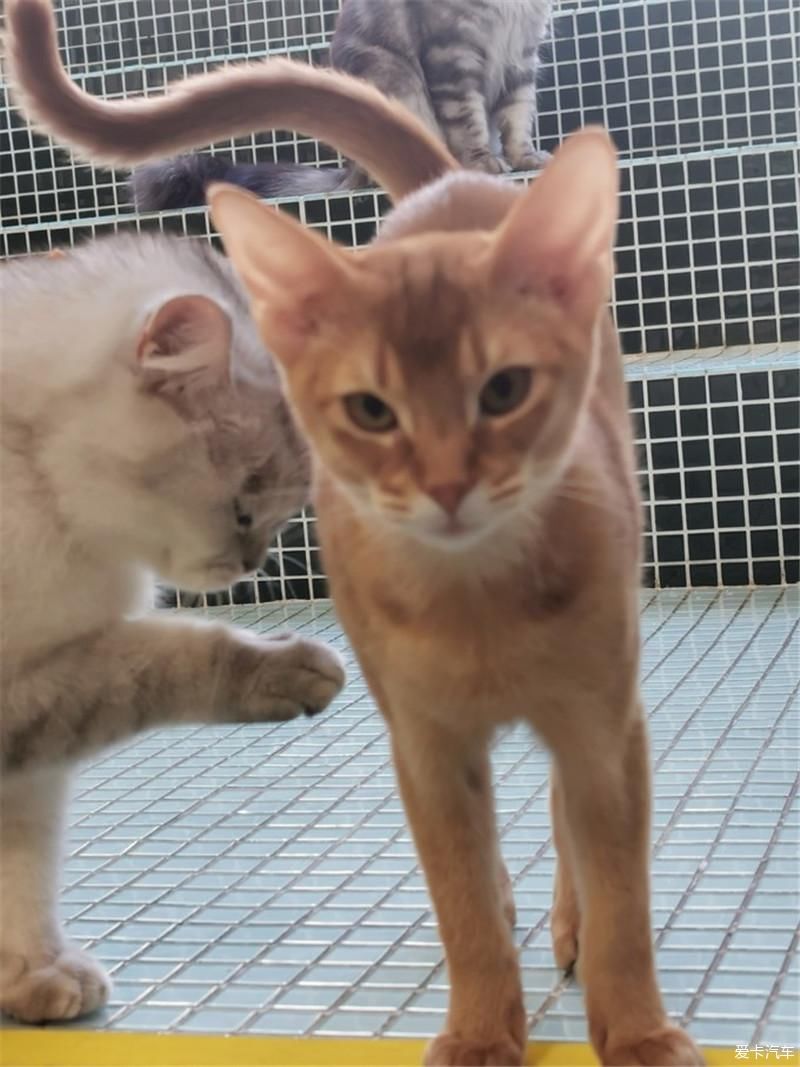 花海|厦门自由行