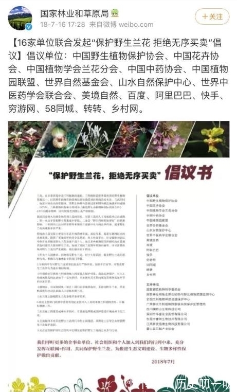 列入|这“三种花”不能养,已被列入“养殖黑名单”,别再傻傻当作宝