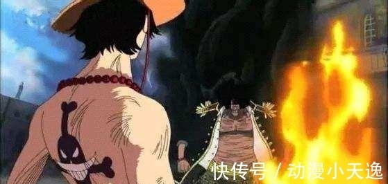 大将|海贼王: 成为四皇副手的1个超新星, 打过2个四皇2个大将2个七武海