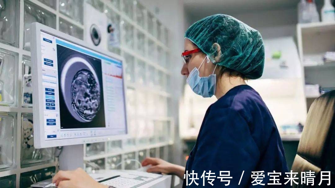 器质性|你的卵达标到优质的卵泡了吗?