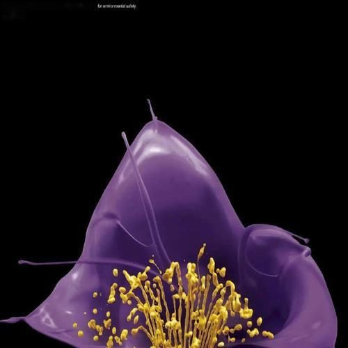 看一眼就忘不了的平面广告,有些产品真让人意想不到!