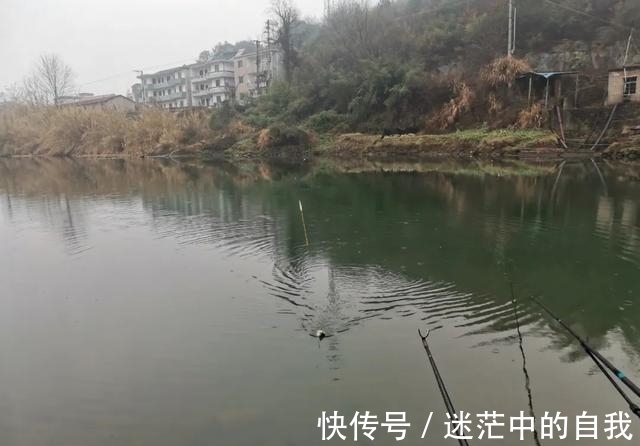 窝子|新钓位聚鱼慢?开发钓位有4个步骤,少一步都会影响上鱼