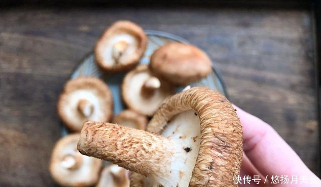 买香菇别只选大的,牢记4个诀窍,香菇鲜嫩好吃,一挑一个准