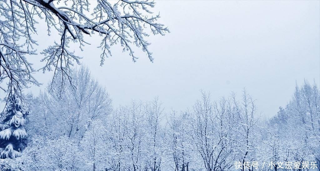 朱楼#宋朝才女的一首词,意境悠远,纳兰性德也曾经化用其中一句